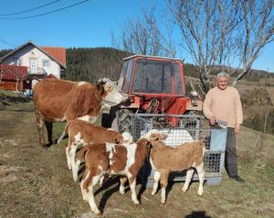 izvor:dobrojutro.co.rs